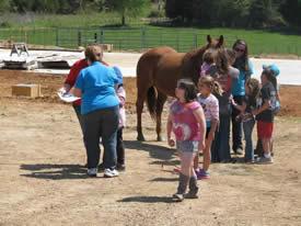 Kids petting a horse at Ag Day 2015