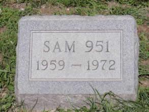 Grave of Sam 951 - born 1959 - died 1972