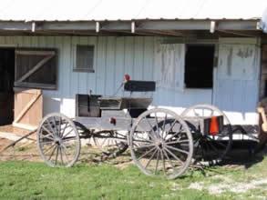 Uncovered buggy at Jamesport, Amish Community