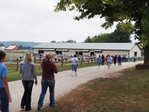 Attendees walking to the stables