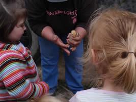 Showing a baby chick to students.