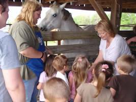 Students learning about horses