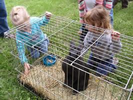 Students looking at a bunny in a cage