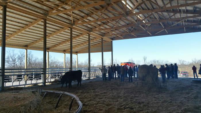 Tour attendees discussing new cow/calf feeding facility already in use by cows and calves.