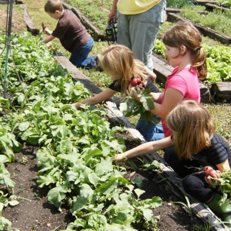 Kids working the garden at the greenhouse
